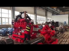 kiểm tra nhân chứng