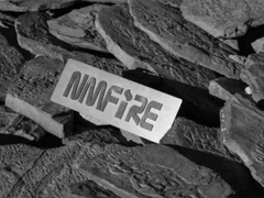 Các chuyên gia tư vấn từ Nhật Bản và Indonesia đến thăm NMFIRE