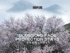 NMFIRE KHÔNG CÒN CHÁY